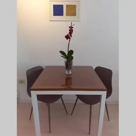 Comfortable In Old Town Labin (Istria)